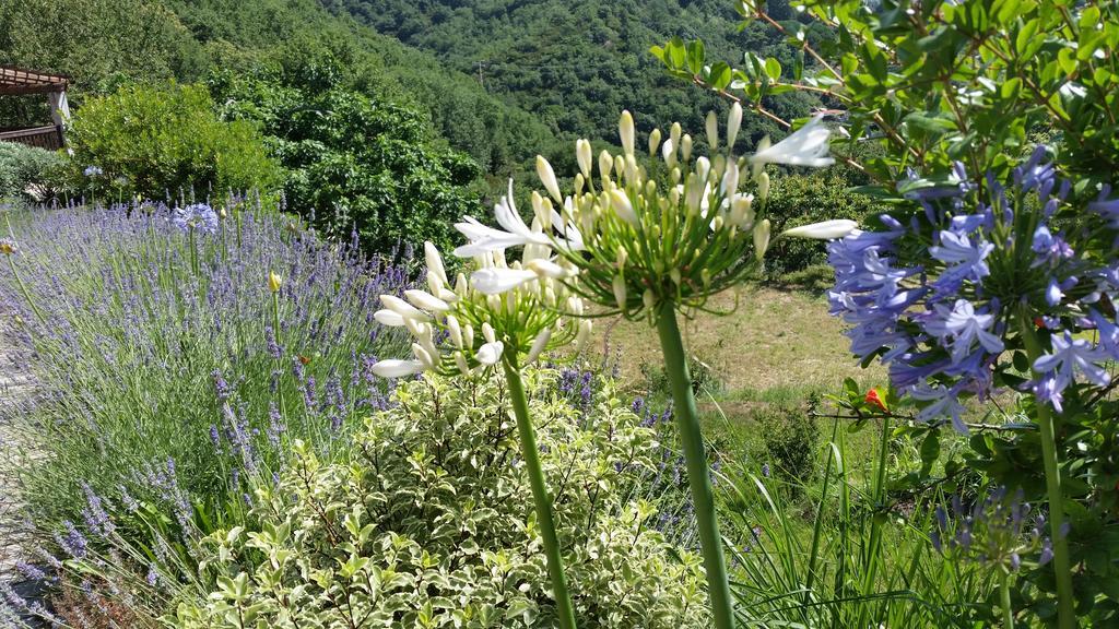 Agriturismo Gocce di Luna Celle Ligure Esterno foto
