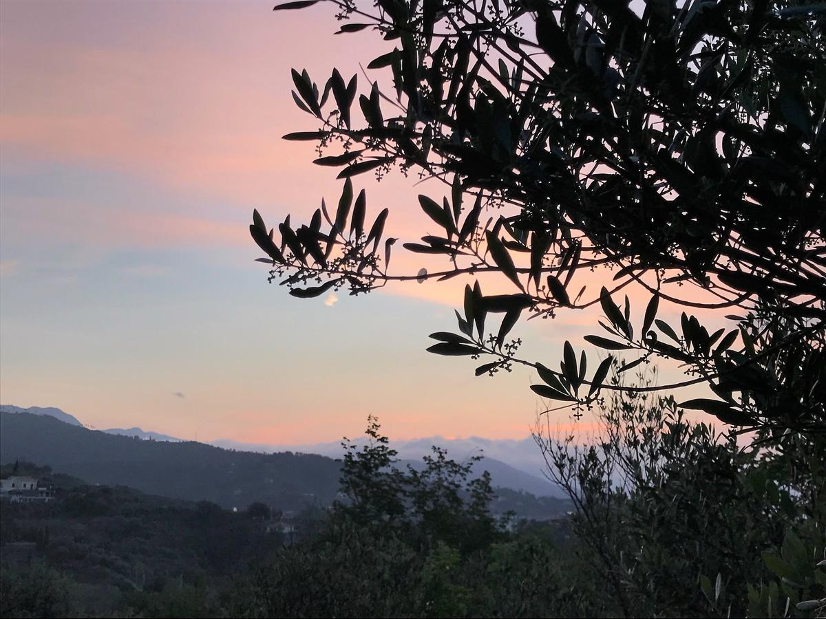 Agriturismo Gocce di Luna Celle Ligure Esterno foto