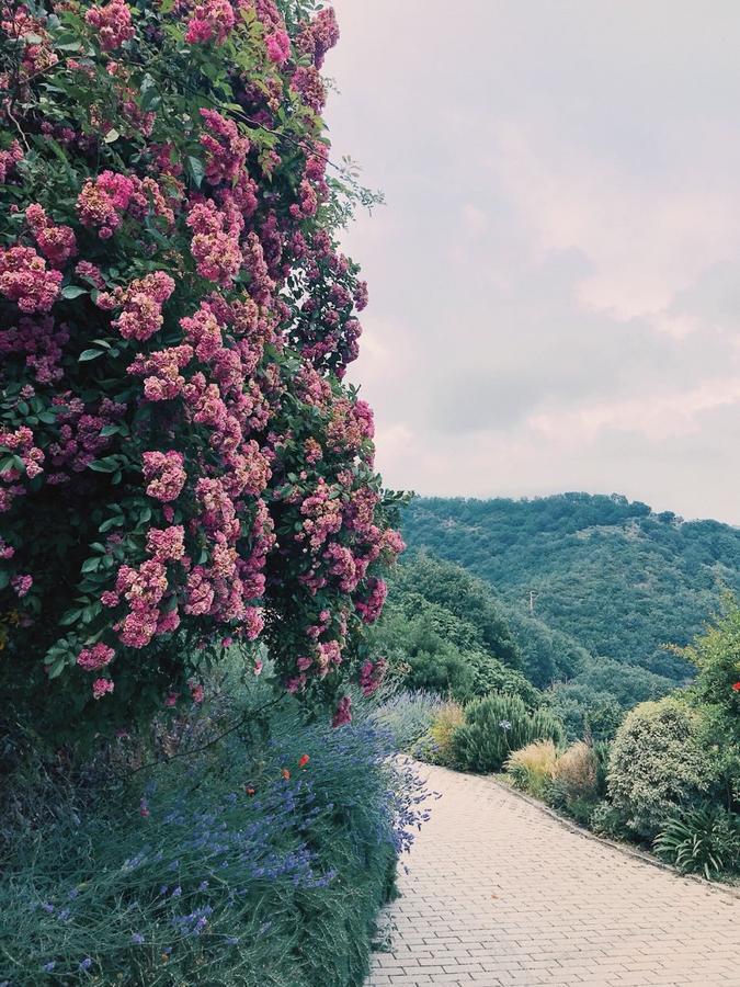 Agriturismo Gocce di Luna Celle Ligure Esterno foto